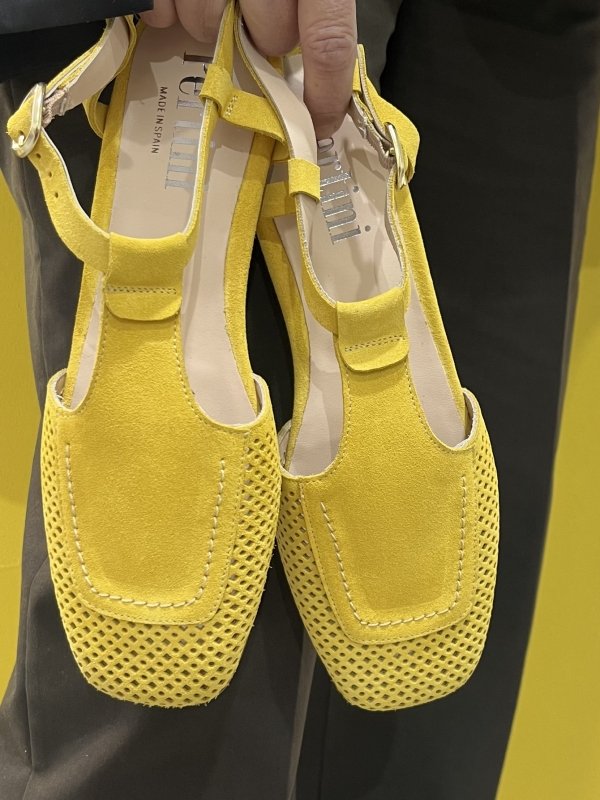 PERTINI ANTE AMARILLO