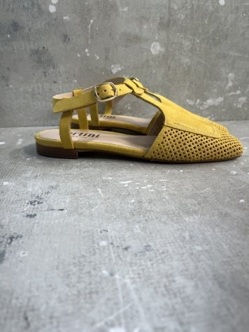 PERTINI ANTE AMARILLO